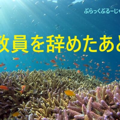 【後悔なし】５か月で初任教員を辞めたあと、２か月で転職できました。