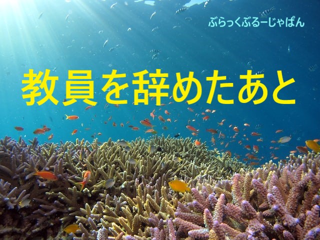 【後悔なし】５か月で初任教員を辞めたあと、２か月で転職できました。