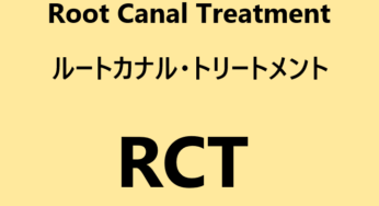 約3か月 歯科助手の仕事に慣れるまで 仕事を覚えるコツも解説 ぶらっくぶるーじゃぱん