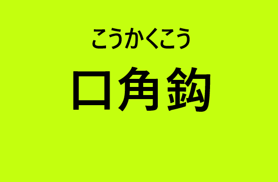 口角鈎 使い方歯科器具 口角鈎 の使い方まとめ そもそも読み方は ぶらっくぶるーじゃぱん