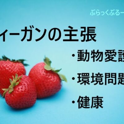 ヴィーガンの主張、主な3つ【動物愛護・環境問題・健康】