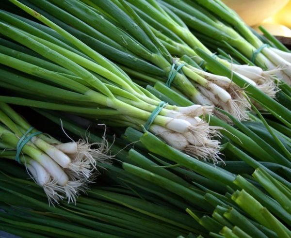 ４．海外で売られている、日本の野菜に対する反応とは？