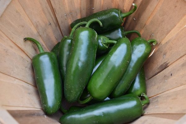 ■アメリカの唐辛子の辛い順：③ハラペーニョ（Jalapeño Pepper）