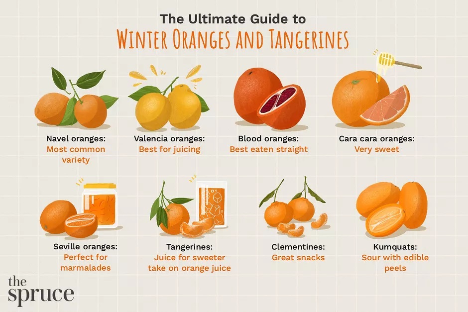 アメリカのオレンジ・みかん10種類まとめ。