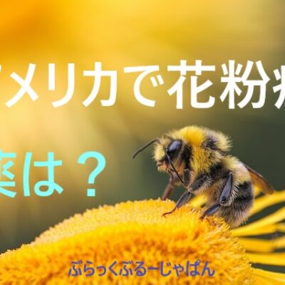 【アメリカで花粉症】花粉が飛ぶ時期とおすすめの薬。