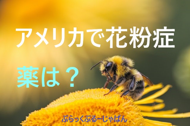 【アメリカで花粉症】花粉が飛ぶ時期とおすすめの薬。
