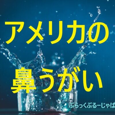 【鼻うがい】アメリカの花粉症にニールメッド！口コミと使い方。