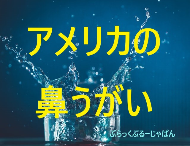 【鼻うがい】アメリカの花粉症にニールメッド！口コミと使い方。