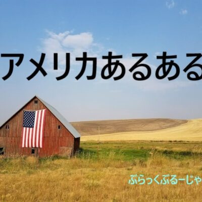 【ミネソタ発信】アメリカ在住3年のアメリカあるある