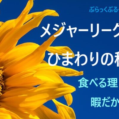 メジャーリーグ選手が、ひまわりの種を食べる理由は暇だから！