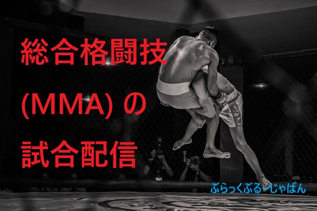 総合格闘技（MMA）の試合配信は、VPNで無料視聴できる！