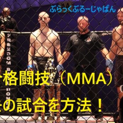 【簡単】総合格闘技（MMA）の過去の試合を、無料で見る方法！